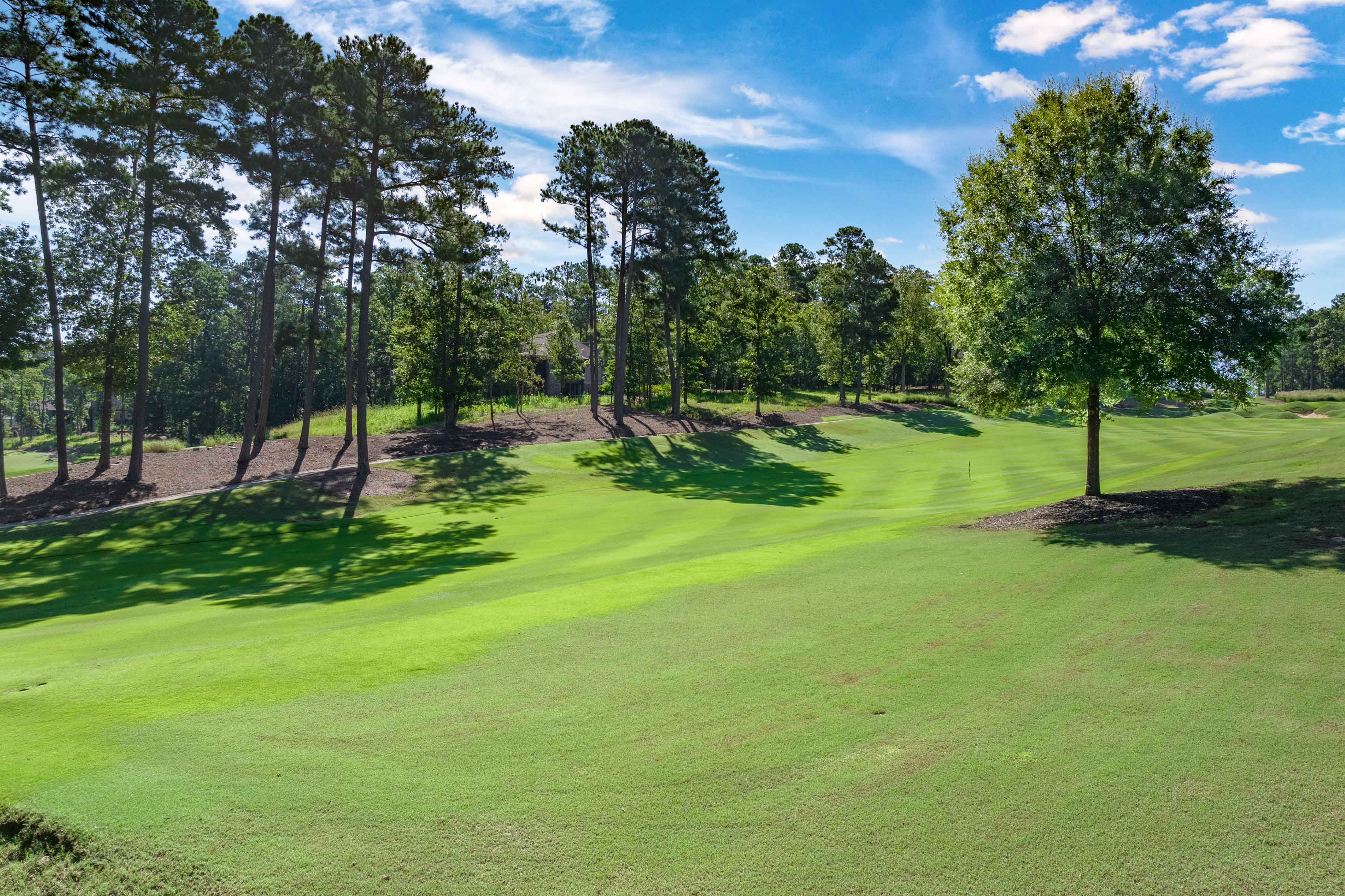 1040 Woodmont Ct. image 39